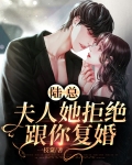 陆总,夫人她拒绝跟你复婚小说