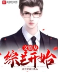 文娱从综艺开始小说