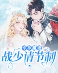 小说幸孕宠婚,战少爷晚安