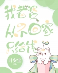 我老婆从不回家只给钱