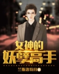 女神的妖孽高手第三部