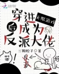 穿进无限游戏后成为反派大佬三颗粽子笔趣阁