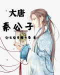 大唐秦公子小说