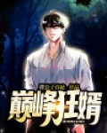 巅峰狂婿
