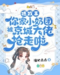 摄政王你家宠妃又炸了
