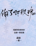 偷了野玫瑰孟枝全文免费阅读