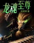 龙魂至尊电视剧