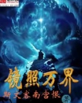 镜照万界下载