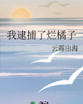 我逮捕了烂橘子格格党