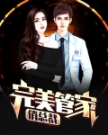 完美管家俏总裁