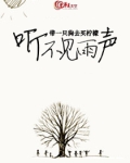 听不见下雨的声音歌词