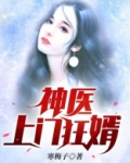 神医上门狂婿免费听