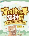 我穿成了修仙界的稀有物品