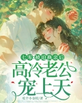 七零被迫换亲后高冷老公宠上天结局
