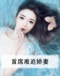 首席难追娇妻百度云