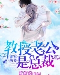 盛宠萌妻教授老公是总裁 小说