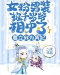 女扮男装被千岁爷相中了，要立我为男妃