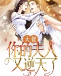 大佬你夫人又掉马了
