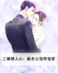 二婚撩人心:新老公强势宠爱