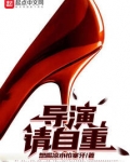 导演,请自重