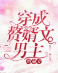 穿成赘婿文男主的前妻免费阅读