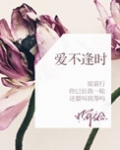 爱不逢时讲的什么
