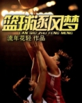 篮球逐风梦