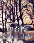 四合院:家有三小只 小说