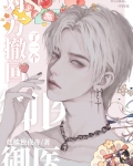 对方撤回了一条消息小说