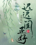 迟迟闺正好百度网盘