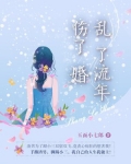 乱了流年伤了婚