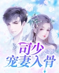 司少宠妻入骨免费阅读全文