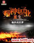 重生爆利电子业txt奇书网