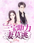 三宝求情妻莫怪免费阅读
