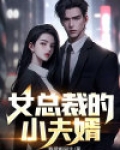 女总裁的神秘夫婿