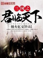 三国之君临天下秦风