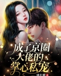 替嫁后，成了京圈大佬的掌心私宠