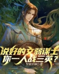 说好的文弱谋士,你一人战三英?
