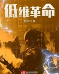 低维革命小说