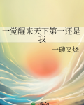 一觉醒来天下第一还是我