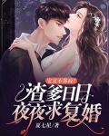 宝宝不答应!渣爹日日夜夜求复婚