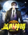 盖世神婿小陈