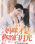 渣爹，妈咪才是你的白月光