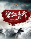 碧血青天三部曲顺序