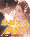 总裁大人超给力