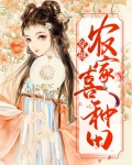 穿越农家种田记 小说