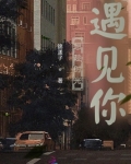 恰好的时光遇见你
