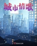 城市爱情歌