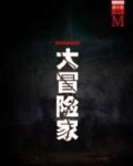 大冒险家（谜小说系列）