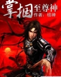 至尊掌控全集